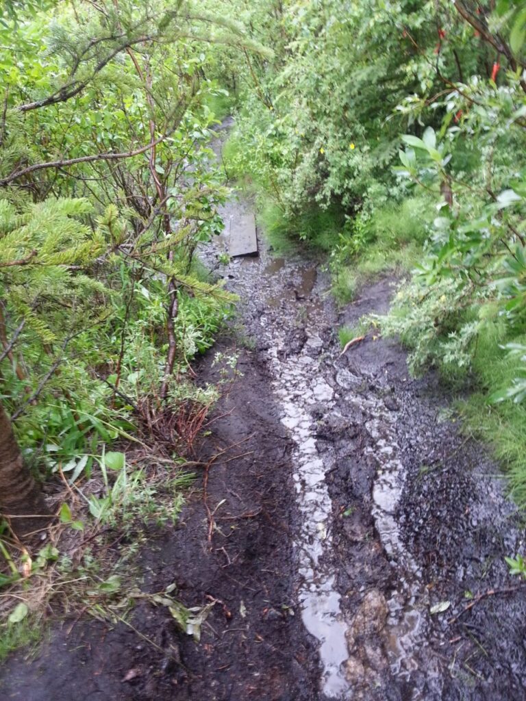 2014 07-01 6th day of rain at Denali Grand Lodge Michael takes muddy shortcut to town (3)