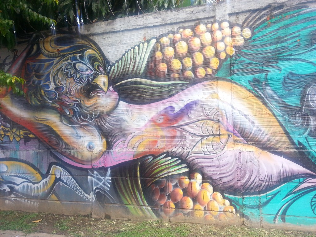 2014-11-15-Medellin-Street-Art-Entrepreneur-Social-Club (12)