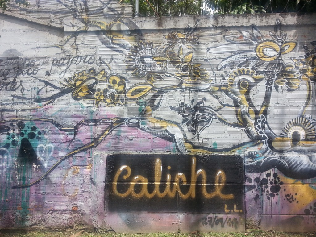 2014-11-15-Medellin-Street-Art-Entrepreneur-Social-Club (8)