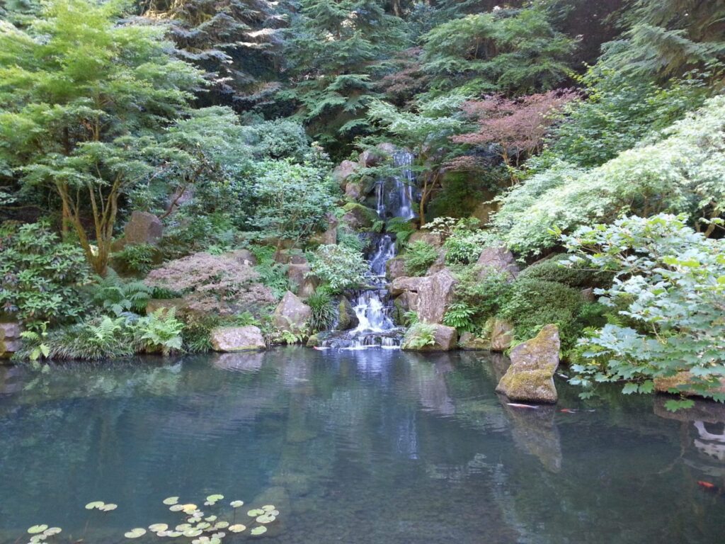 2014 07-06 Portland Japanese Garden (38)